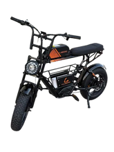 Kugoo Electric Scooter 750W 35KM Range 35KM Speed, T31