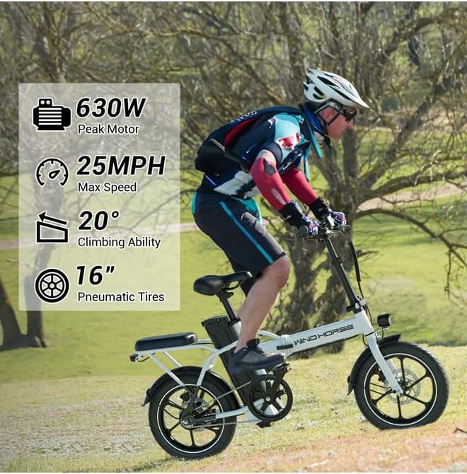 Wind Horse Electric Scooter 350W 30KM Range 35KM Speed, W2 A