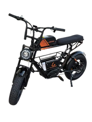 Kugoo Electric Scooter 750W 35KM Range 35KM Speed, T31